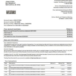 USA First Century bank statement download template file