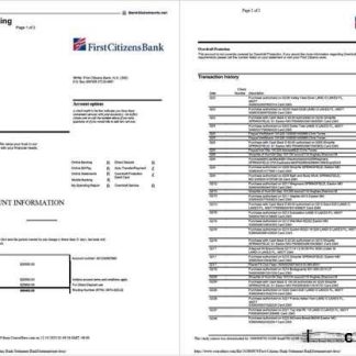 USA First Citizens Bank statement Word and PDF template, 2 pages download template file