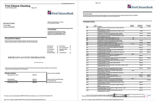 USA First Citizens Bank statement Word and PDF template, 2 pages download template file