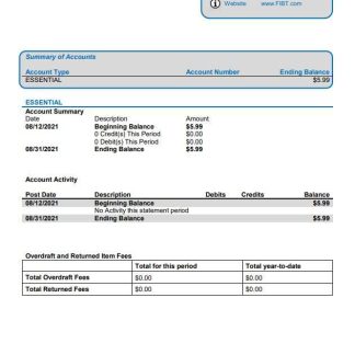 USA First International Bank & Trust download template file