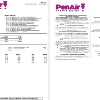 USA Florida PenAir Credit Union bank statement, 3 pages 2 download template file