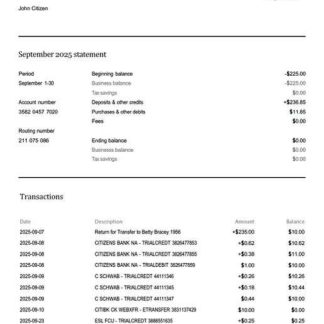 USA Found account statement Word and PDF template download template file