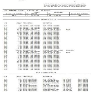 USA Frost Bank statement Word and PDF template download template file