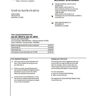 USA Georgia Gainesville First century bank statement download template file