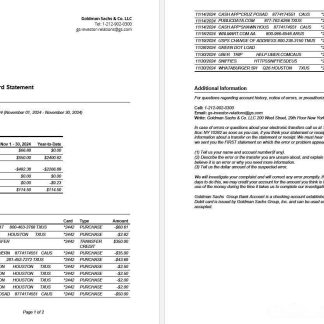 USA Goldman Sachs bank Premium Visa Debit Card statement Word and PDF template download template file