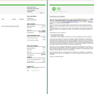 USA Green Dot bank statement Word and PDF template, 3 pages download template file