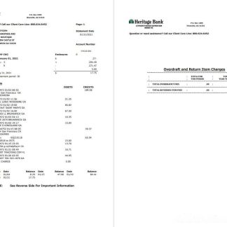 USA Heritage Bank 3 pages word pdf download template file