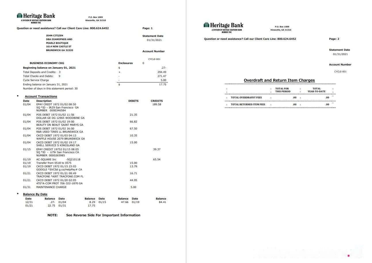 USA Heritage Bank 3 pages word pdf download template file