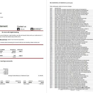USA IBC bank statement 5 page download template file