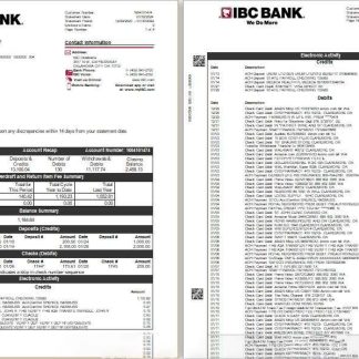 USA IBC bank statement Word and PDF template, 4 pages download template file