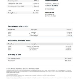 USA Indi bank statement download template file