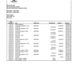 USA Integrity Bank statement Word and PDF template download template file
