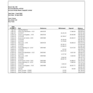 USA Integrity Bank statement Word and PDF template.1 download template file