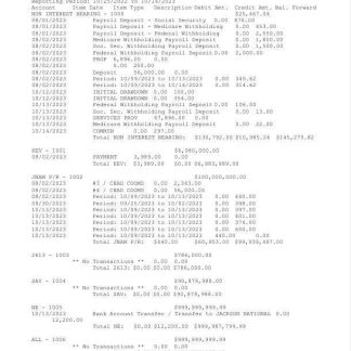 USA Jackson National bank statement Word and PDF template, 2 pages download template file
