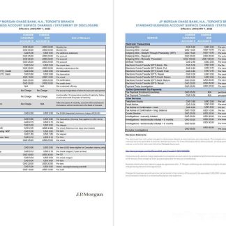 USA JP Morgan bank statement 2 pages VERSION 2 download template file