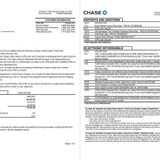 USA JPMorgan Chase 2 pages word download template file