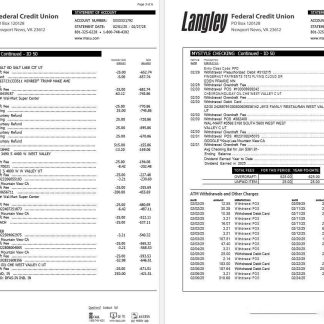 USA Langley Federal Credit Union bank statement, 6 pages 2 download template file