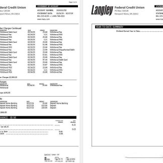 USA Langley Federal Credit Union bank statement, 6 pages 3 download template file