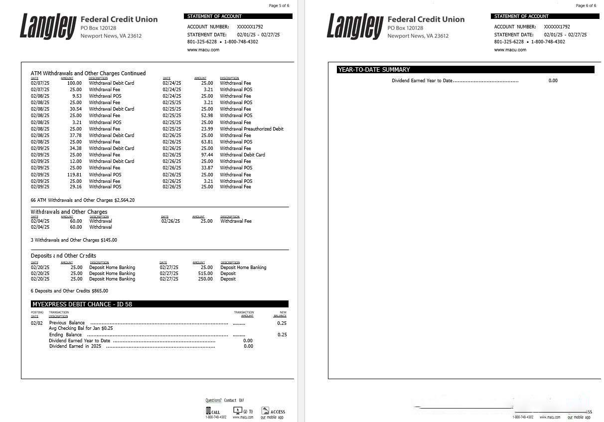 USA Langley Federal Credit Union bank statement, 6 pages 3 download template file