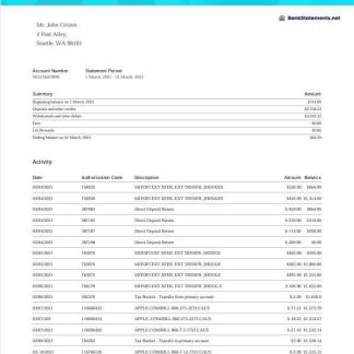 USA Lili bank statement Word download template file