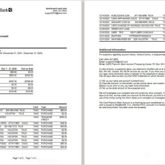 USA Meta Bank card statement Word and PDF example, 2 pages download template file