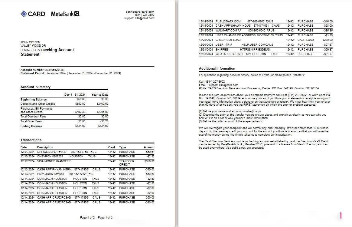 USA Meta Bank card statement Word and PDF example, 2 pages download template file