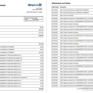 USA Metabank deposit account statement 3 pages download template file