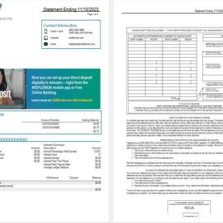USA MidFlorida bank statement Word and PDF template, 3 pages 1 2 download template file