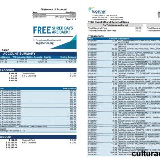 USA Missouri Together Credit Union bank word 6 pages download template file