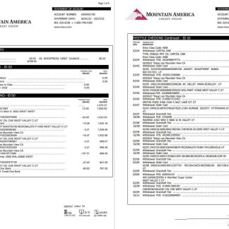 USA Mountain America Credit Union statement 6 pages download template file
