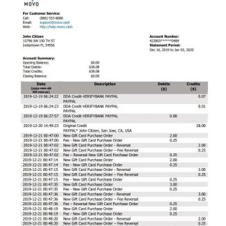 USA MOVO bank statement download template file