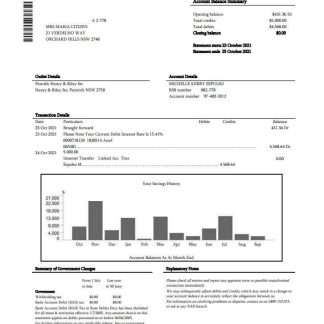 USA NAB bank statement download template file