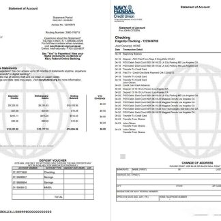 USA Navy Federal 9p download template file