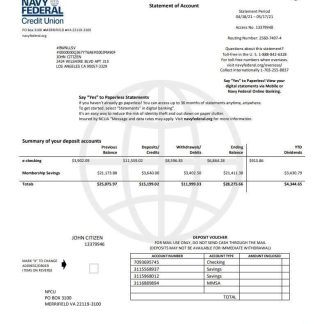 USA Navy Federal Credit Union download template file