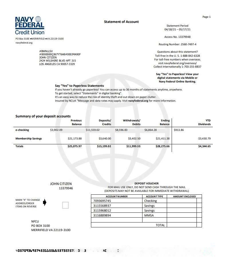 USA Navy Federal Credit Union download template file
