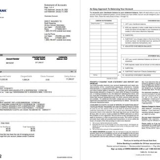 USA Nevada State Bank business checking st 4 pages download template file