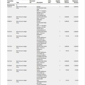 USA New York bank statement 3 ?C 6 months Word and PDF example download template file