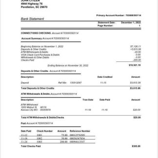 USA New York Piermont bank statement Word and PDF template download template file