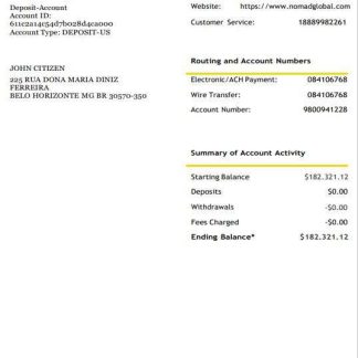 USA Nomad Global bank statement 3 ?C 6 months Word and PDF example download template file