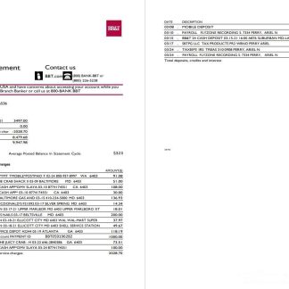 USA North Carolina BB&T Corp. bank statement template in Word and PDF format (2 pages) download template file