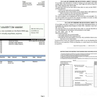 USA Oklahoma SNB bank statement 2 pages download template file