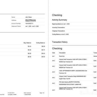 USA One Finance, Inc. bank statement Word and PDF template, 2 pages download template file