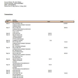 USA One Florida Bank statement download template file