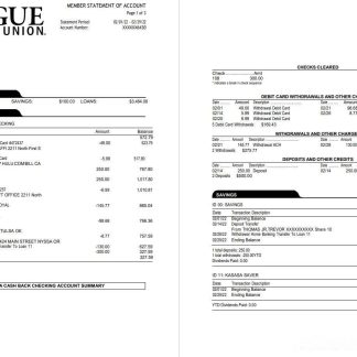 USA Oregon Rogue bank statement 3 pages download template file