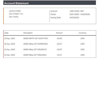 USA Payoneer doc download template file