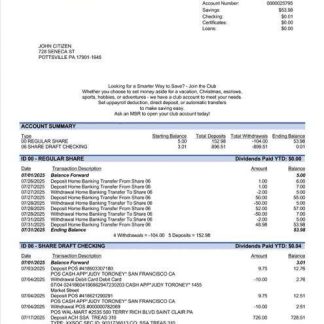 USA Pennsylvania Hidden River Credit Union statement of account Word and PDF template download template file