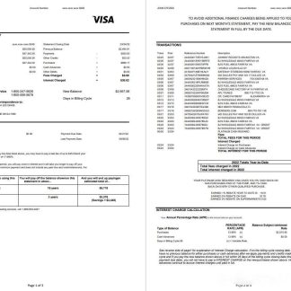 USA Pentagon Federal Credit Union (PenFed) bank statement 3 pages download template file