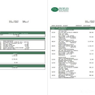 USA Peoples Bank Midwest (PBM) bank statement 5 pages download template file