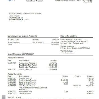 USA RBC bank statement Word and PDF template, version 2 download template file