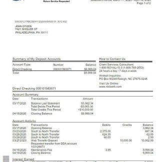 USA RBC bank statement Word and PDF template, version 2 scr download template file